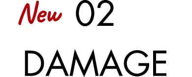 02 DAMAGE
