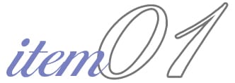 item 01