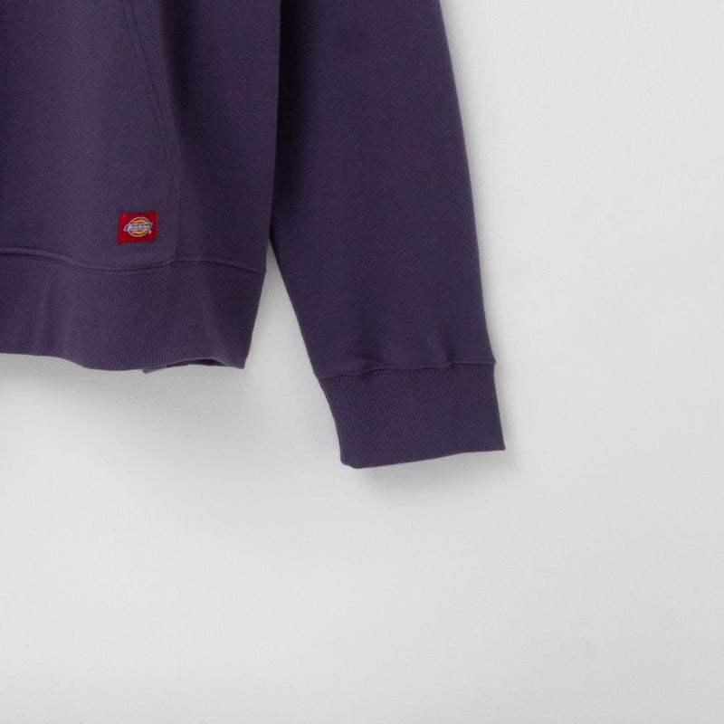 Dickies 別注バックプリント裏毛グラフィックプルオーバーパーカー メンズ商品画像-14