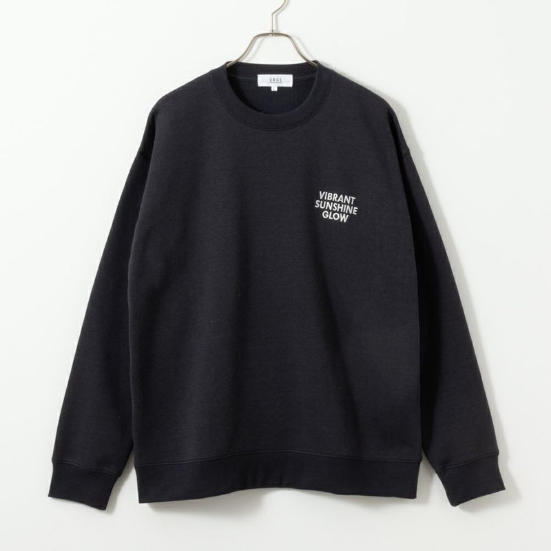 裏起毛刺繍トレーナー メンズ商品画像-4