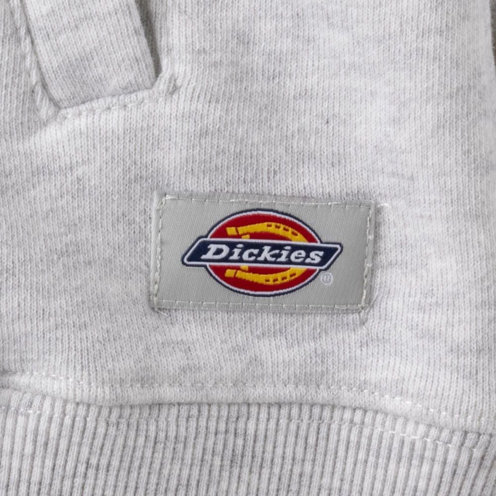 Dickies スタンドカラーブルゾン メンズ