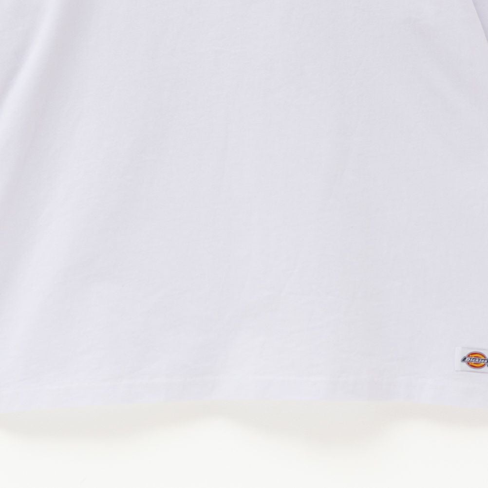 Dickies グラフィックプリント半袖Tシャツ メンズ