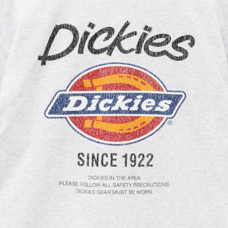 [期間限定価格]Dickies  グラフィックプリント半袖Tシャツ メンズ商品画像-25