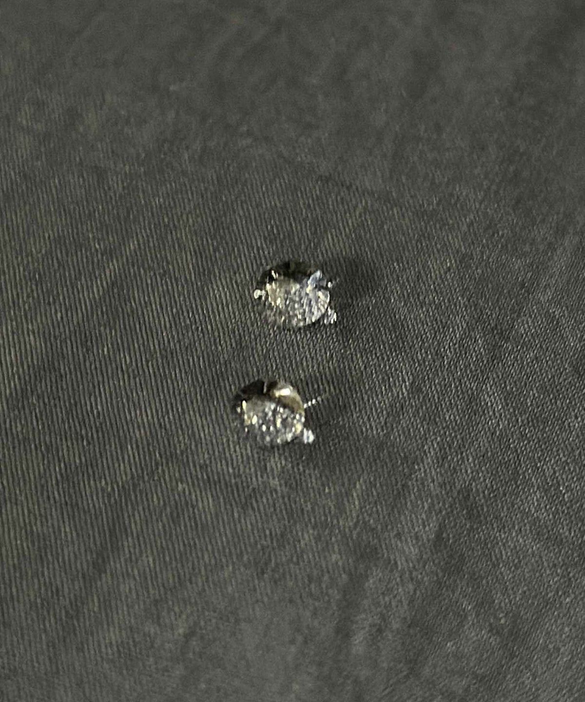 LOGOS PARK 裏フリースパーカー メンズ