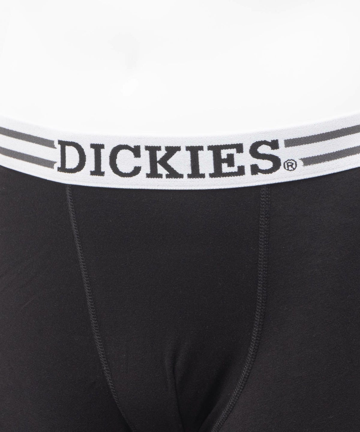 Dickies ボクサーパンツ NEW LOGO メンズ ネコポス 対応商品