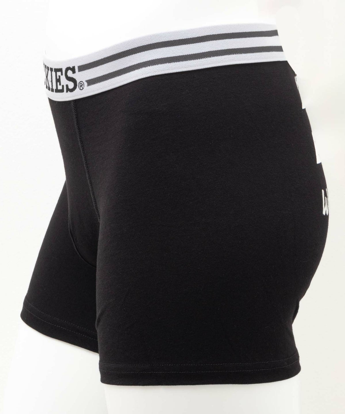 Dickies ボクサーパンツ NEW LOGO メンズ ネコポス 対応商品