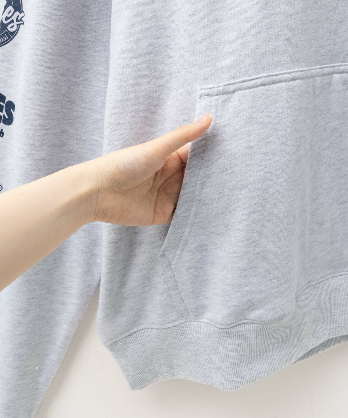 Dickies 裏毛袖ロゴパーカー メンズ