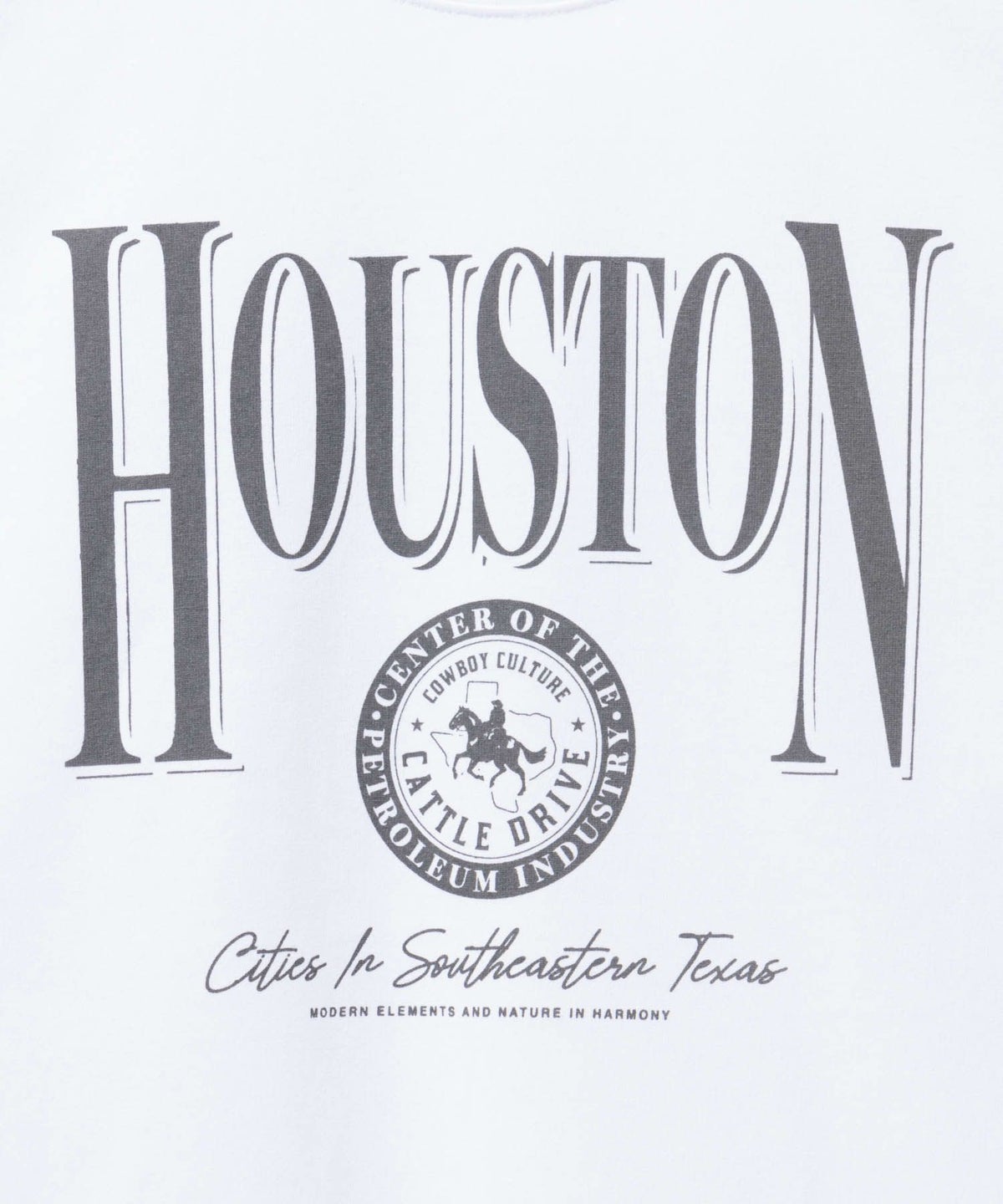 T-GRAPHICS カレッジロゴ半袖Tシャツ メンズ ネコポス 対応商品