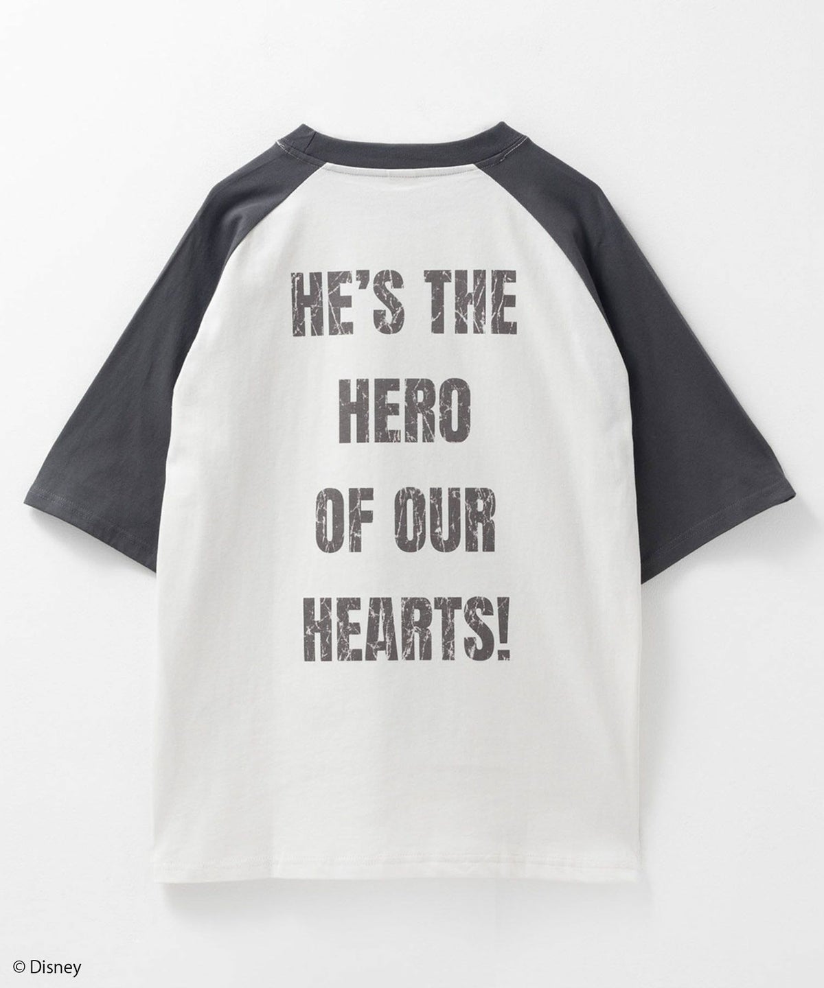 Disney ミッキーマウス / プリントTシャツ メンズ ネコポス 対応商品