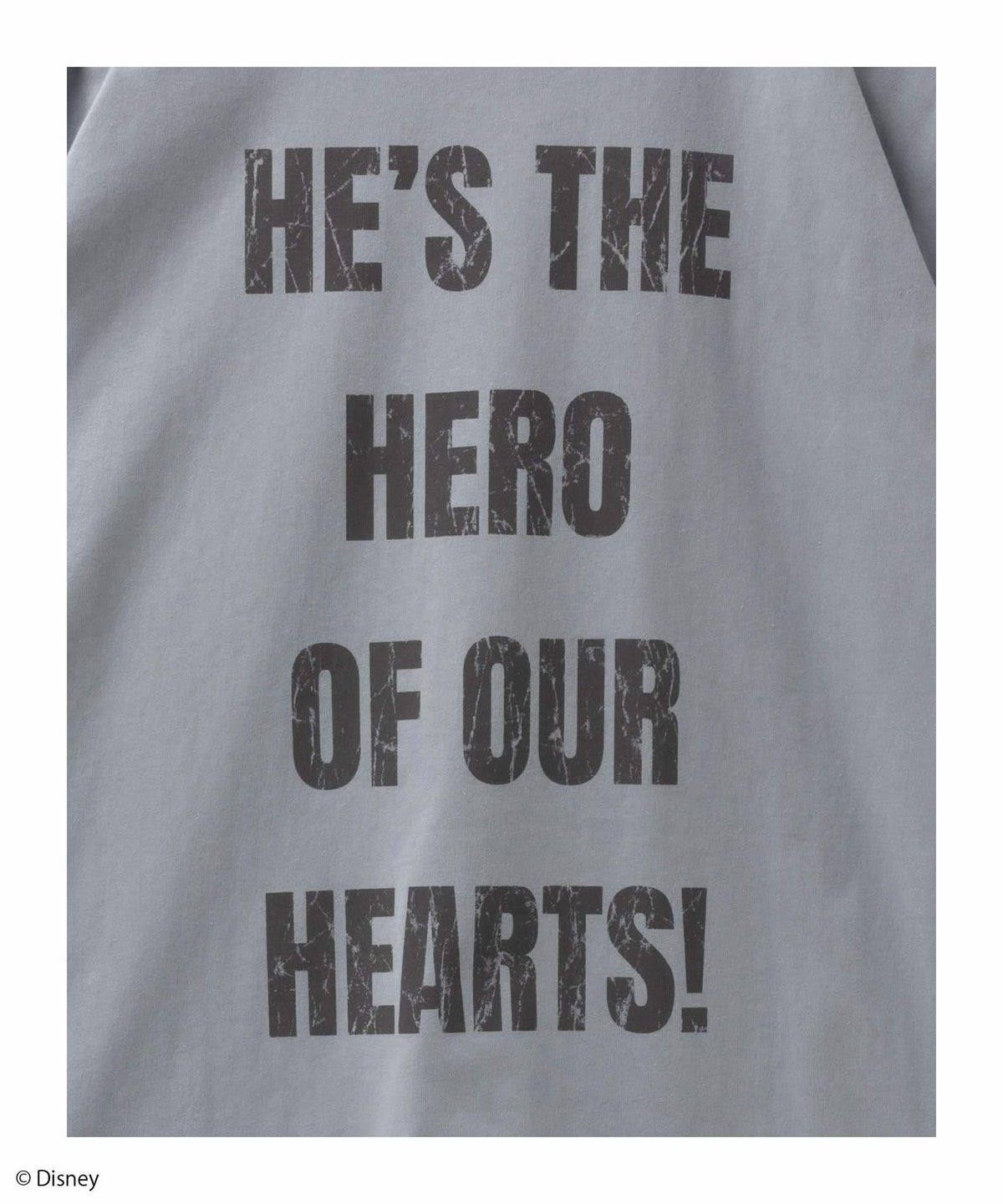 Disney ミッキーマウス / プリントTシャツ メンズ ネコポス 対応商品