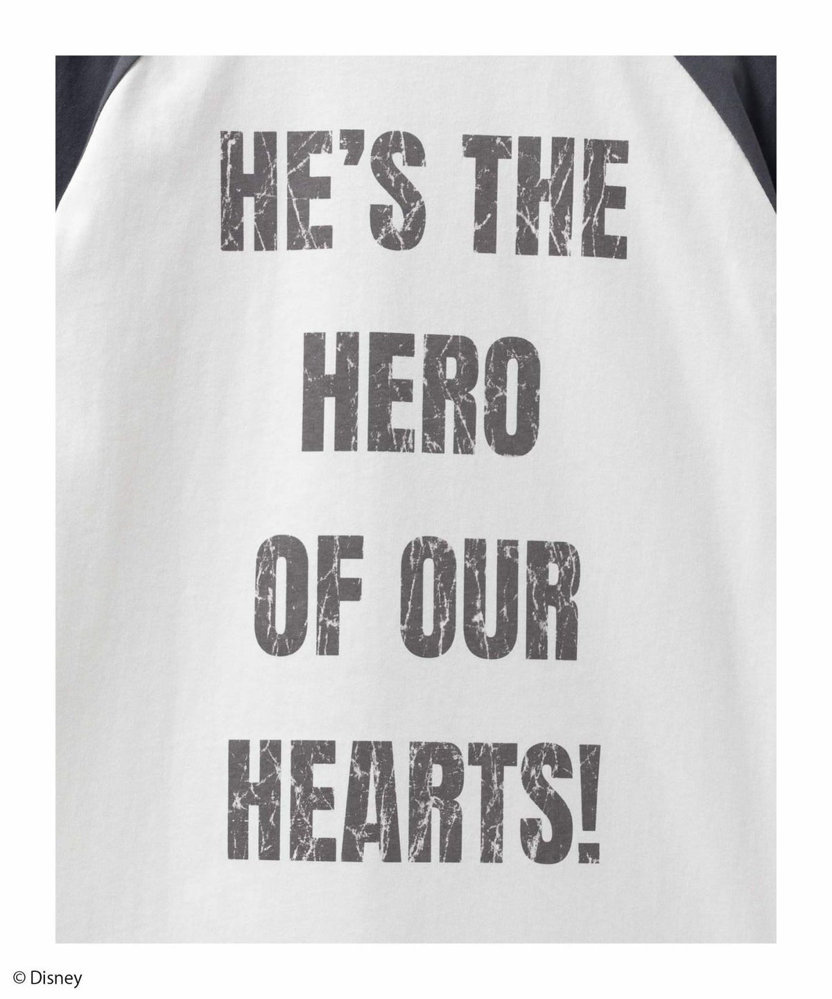 Disney ミッキーマウス / プリントTシャツ メンズ ネコポス 対応商品