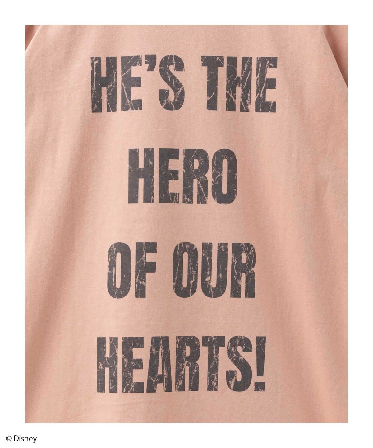 Disney ミッキーマウス / プリントTシャツ メンズ ネコポス 対応商品v