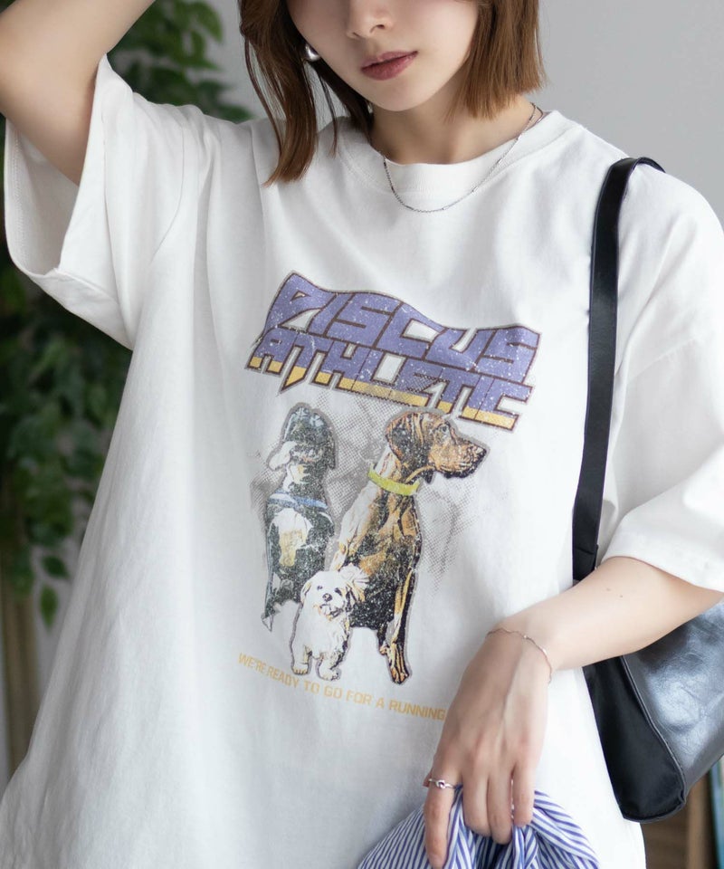 DISCUS プリントビッグTシャツ 犬 レディース メール便 対応商品商品画像-2
