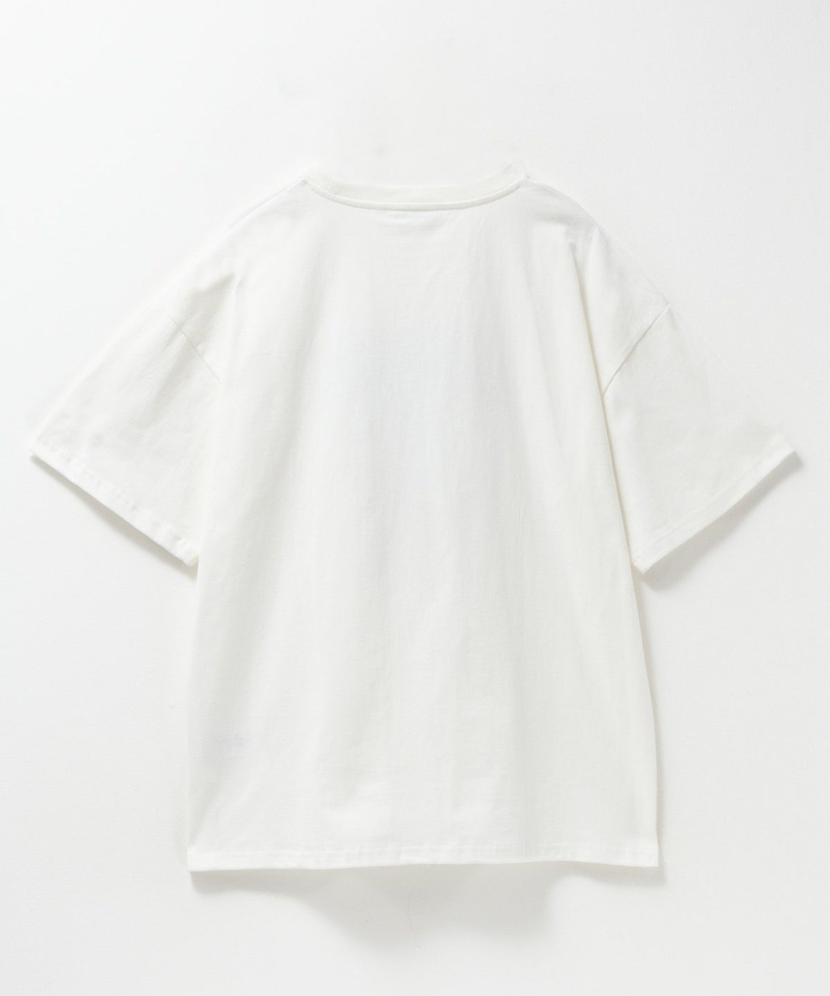 DISCUS プリントビッグTシャツ 犬 レディース ネコポス 対応商品