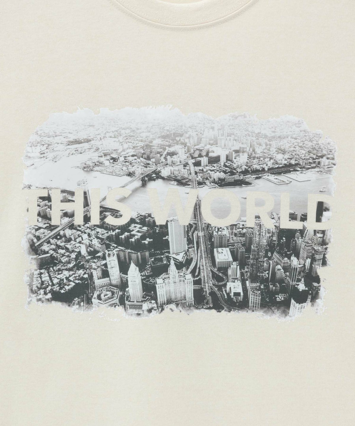 T-GRAPHICS フォトプリント半袖Tシャツ メンズ ネコポス 対応商品