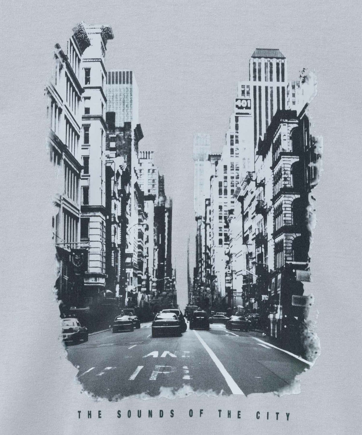 T-GRAPHICS フォトプリント半袖Tシャツ メンズ ネコポス 対応商品