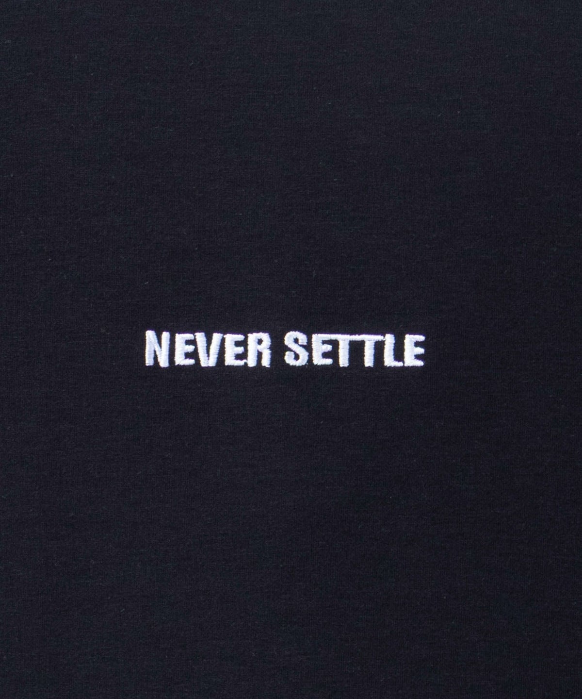 ポンチ素材 バックプリントTシャツ メンズ ネコポス 対応商品