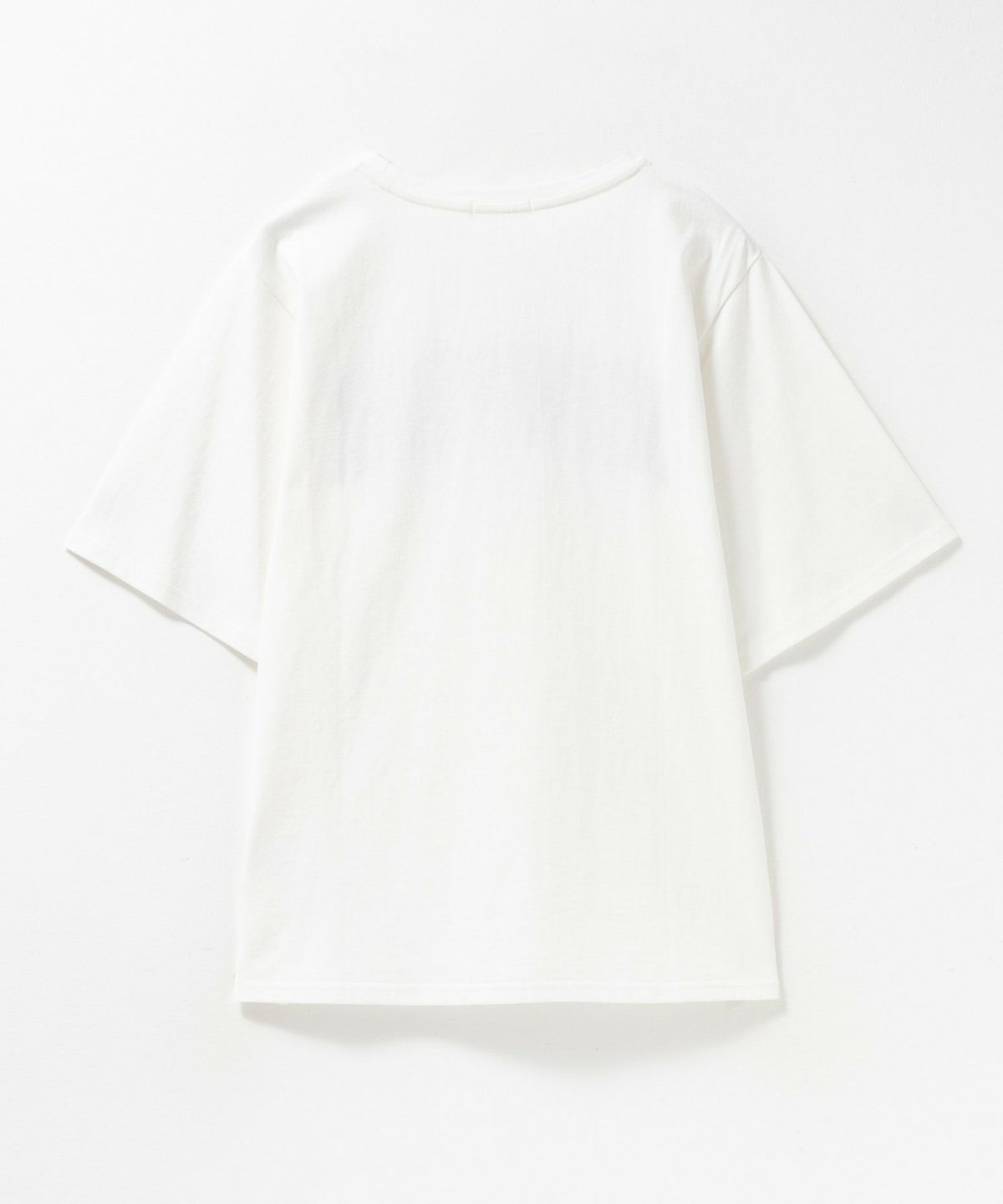 フラワー刺繍カレッジTシャツ レディース ネコポス 対応商品