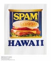 SPAM(R) Brand プリントTシャツ レディース メール便 対応商品商品サムネイル-12