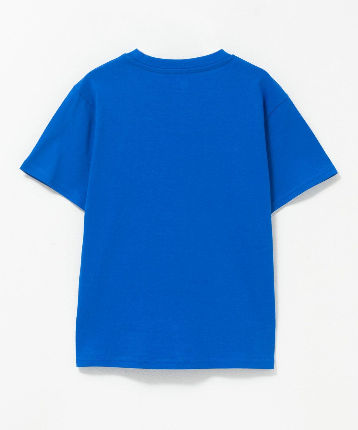 T-GRAPHICS ダイナソープリント半袖Tシャツ キッズ ネコポス 対応商品