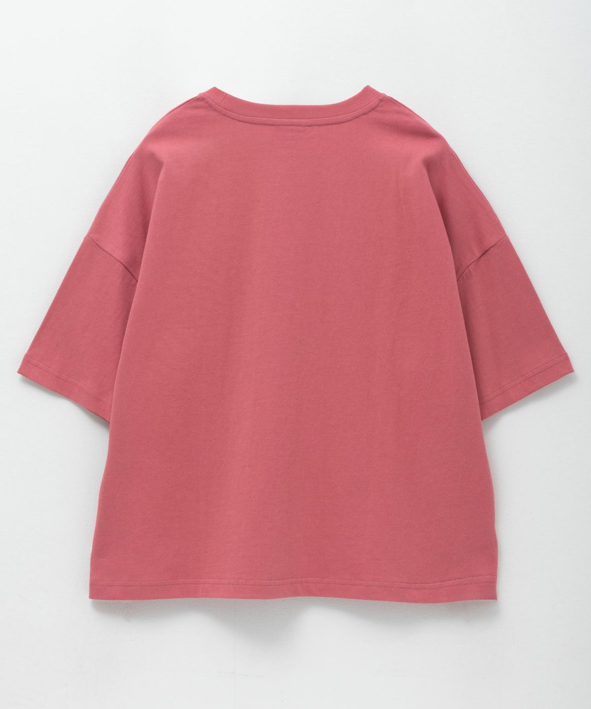 Dickies バイオ加工カレッジTシャツ レディース ネコポス 対応商品