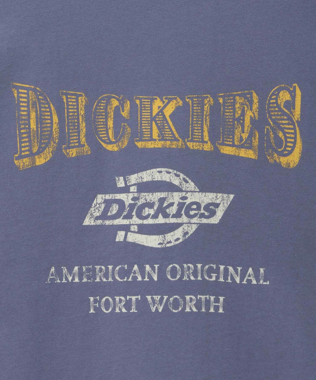 Dickies バイオ加工カレッジTシャツ レディース ネコポス 対応商品