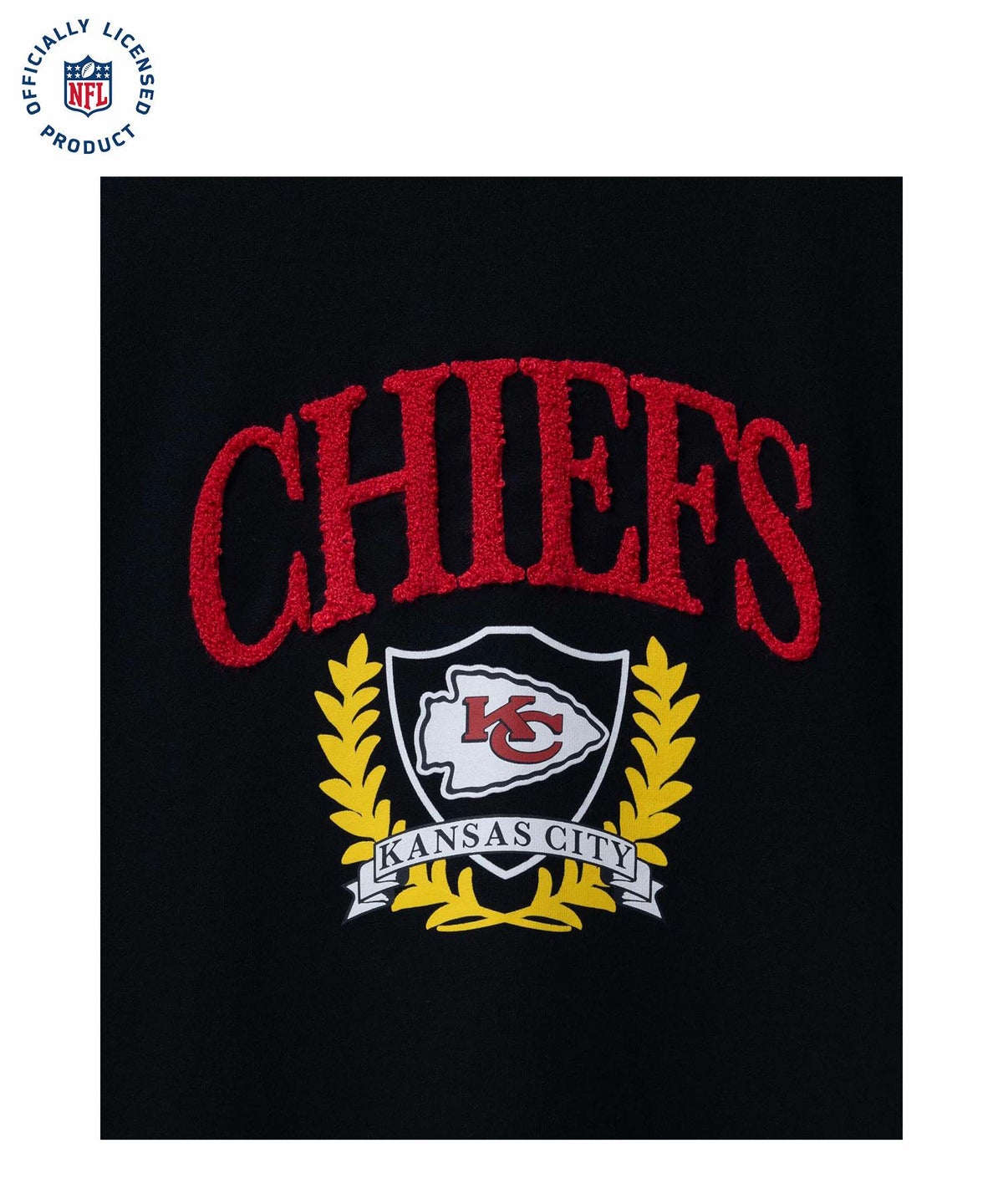 NFL サガラワッペンTシャツ メンズ ネコポス 対応商品