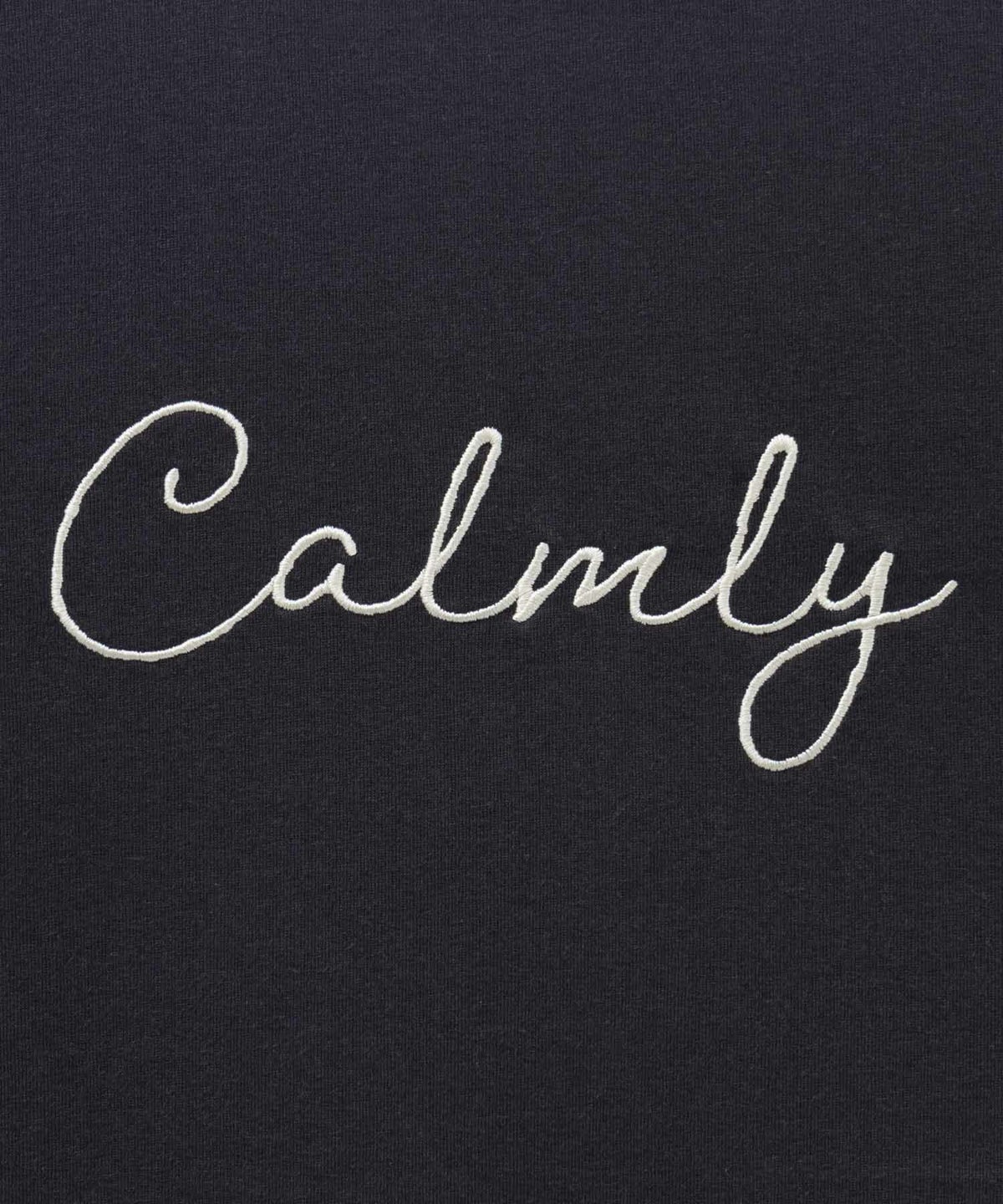 T-GRAPHICS メッセージ刺繍Tシャツ レディース ネコポス 対応商品