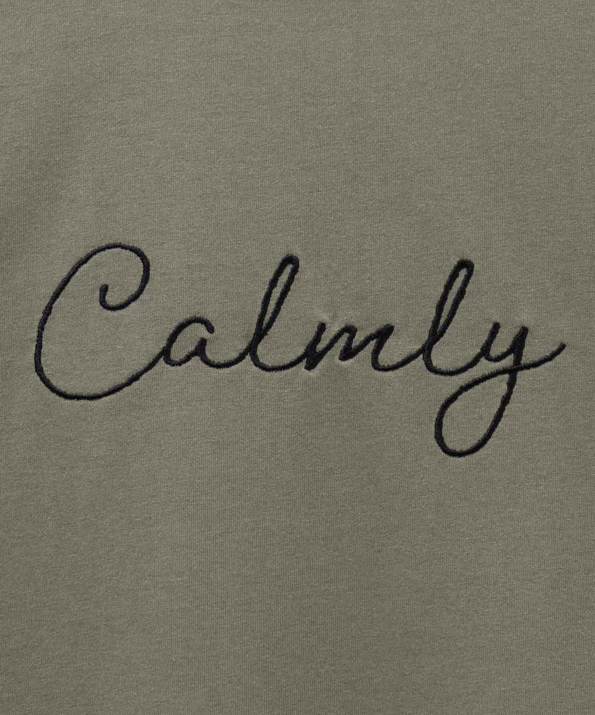 T-GRAPHICS メッセージ刺繍Tシャツ レディース ネコポス 対応商品