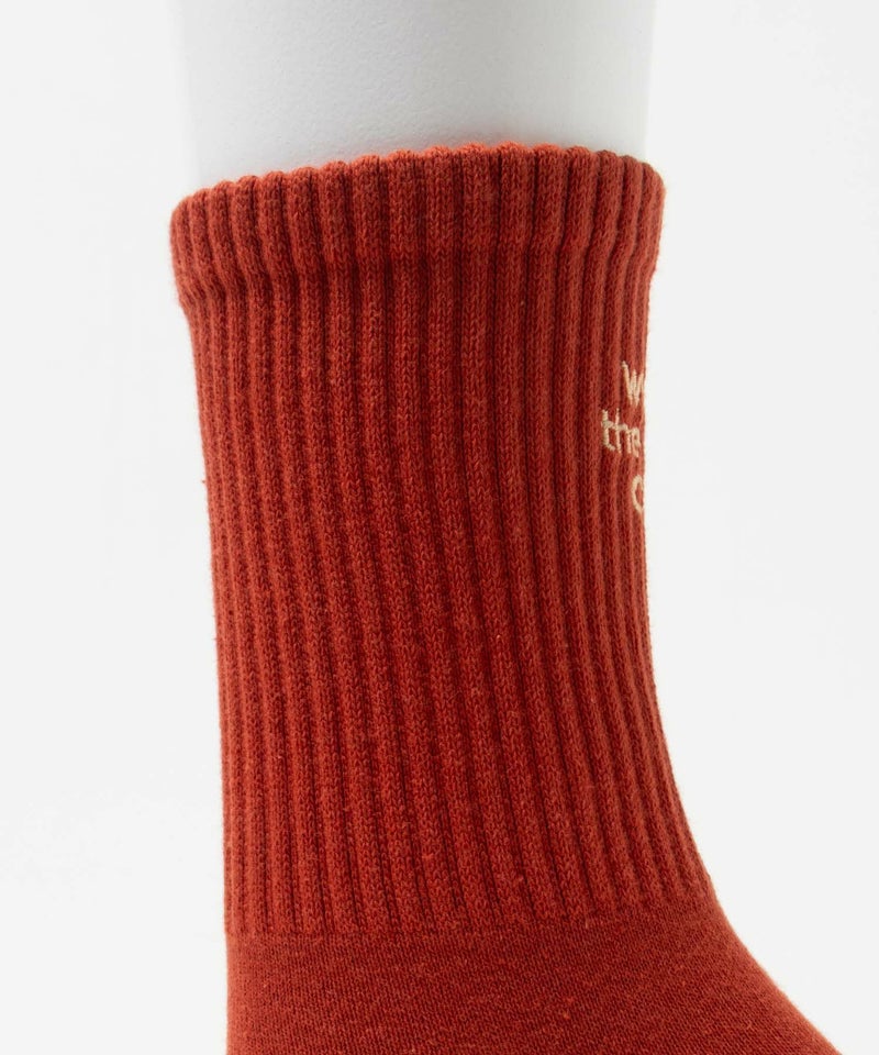 NAVY リブクルーソックス ロゴ刺繍 レディース商品画像-12