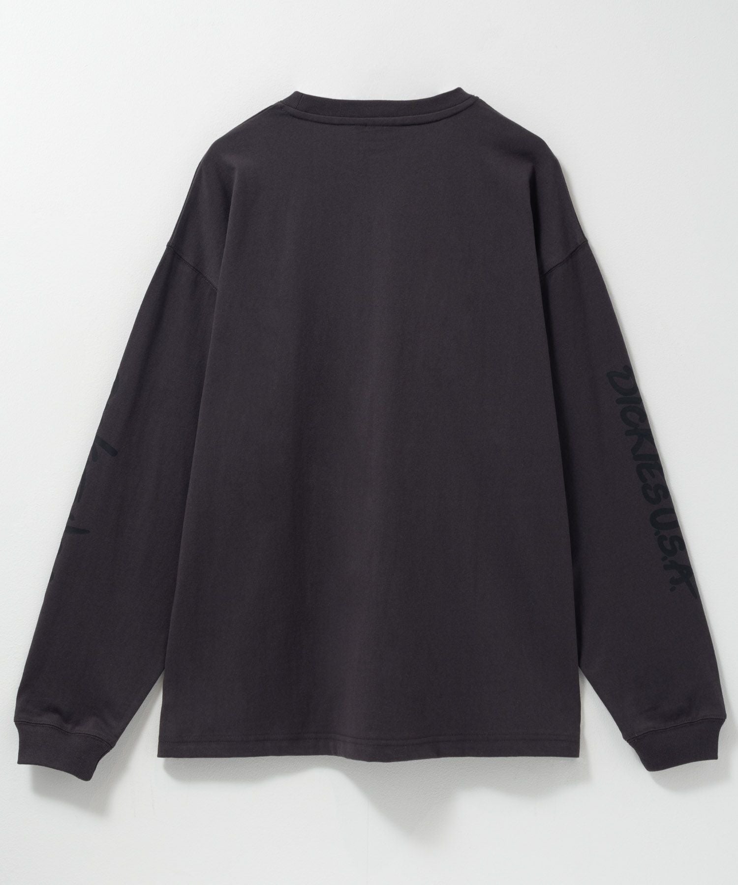 DRTUSA フーディ　ロングスリーブTシャツ Dickies スリーブプリント長袖Tシャツ メンズ