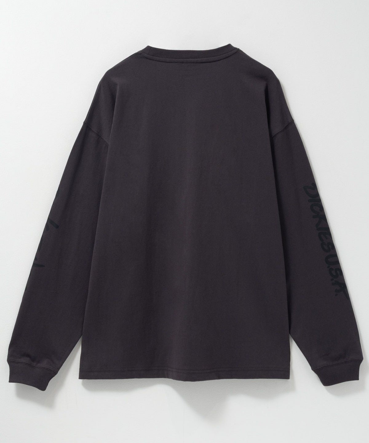 Dickies スリーブプリント長袖Tシャツ メンズ