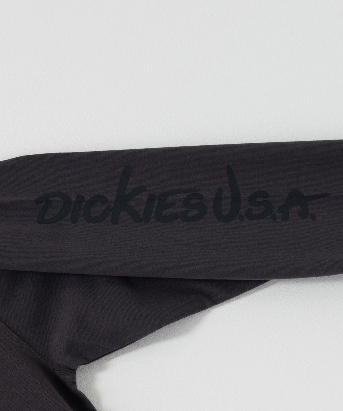 Dickies スリーブプリント長袖Tシャツ メンズ