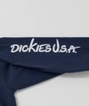Dickies  スリーブプリント長袖Tシャツ メンズ商品サムネイル-34