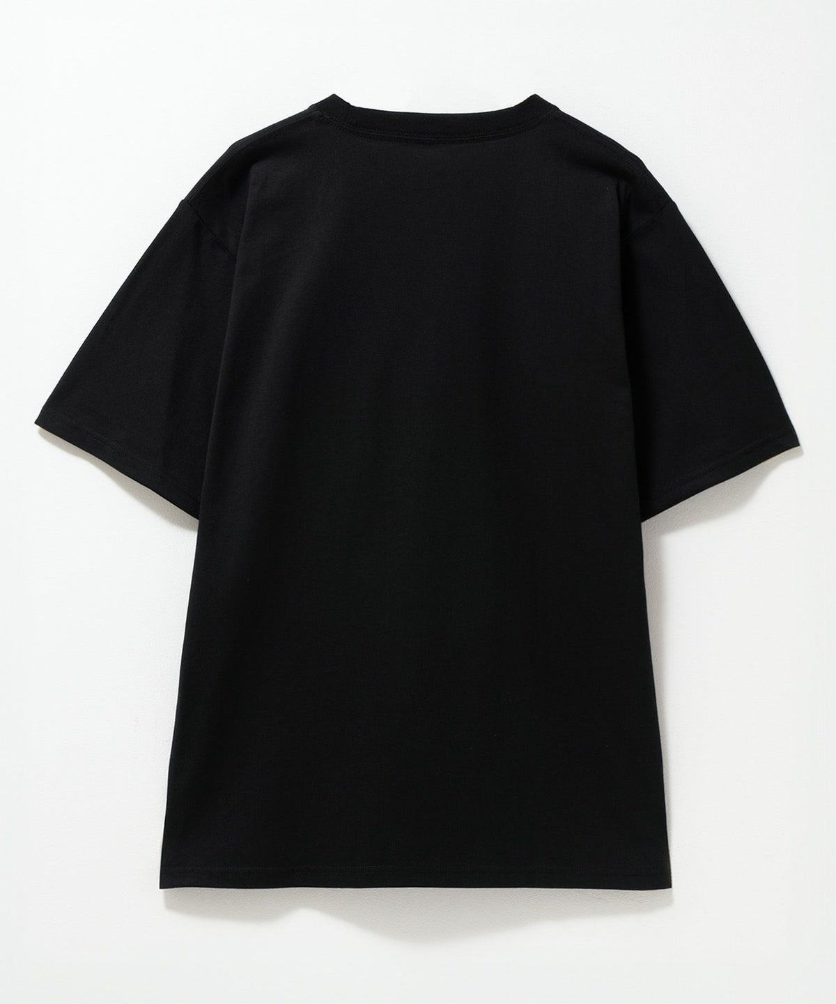 T-GRAPHICS フォトデザイン半袖Tシャツ メンズ ネコポス 対応商品