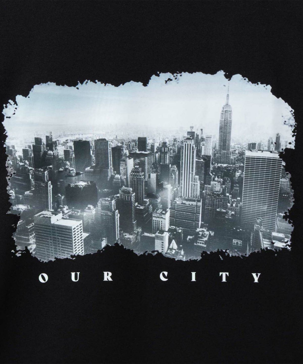 T-GRAPHICS フォトデザイン半袖Tシャツ メンズ ネコポス 対応商品