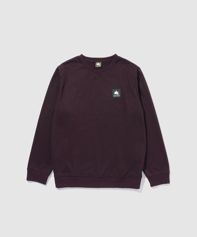 【WEB限定】LOGOS PARK 胸ワンポイントロゴ裏毛トレーナー メンズ商品画像-9