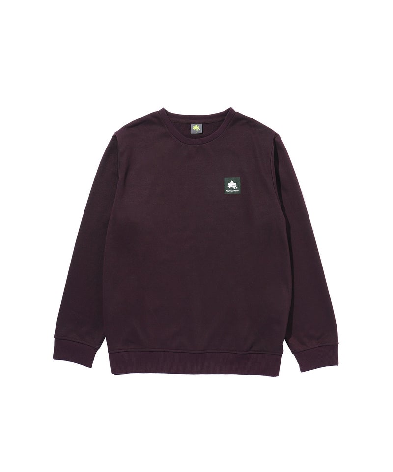 【WEB限定】LOGOS PARK  胸ワンポイントロゴ裏毛トレーナー メンズ商品画像-20