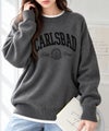 NAVY カレッジロゴWジャガードニット レディース商品サムネイル-1