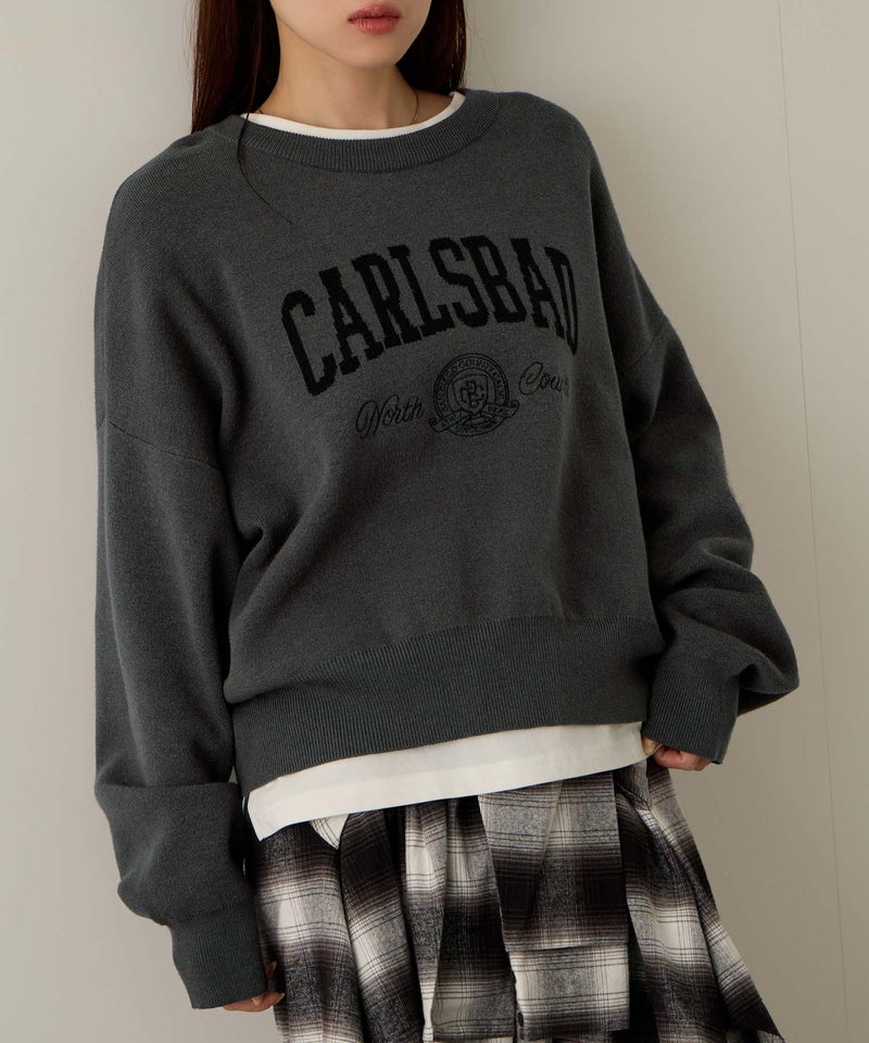 NAVY カレッジロゴWジャガードニット レディース商品画像-2