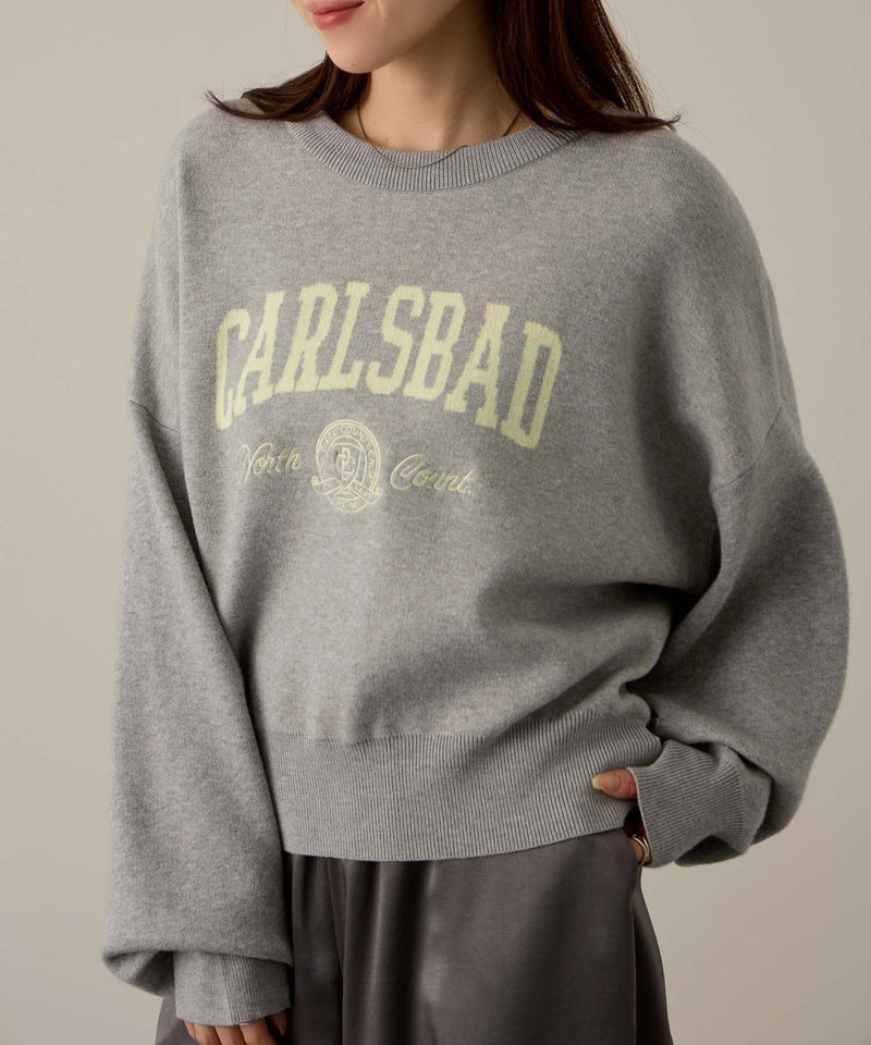NAVY カレッジロゴWジャガードニット レディース商品画像-3