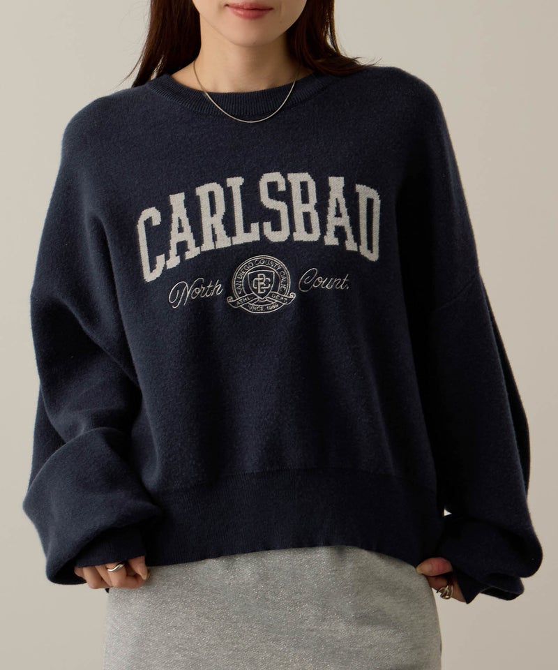 NAVY カレッジロゴWジャガードニット レディース商品画像-4
