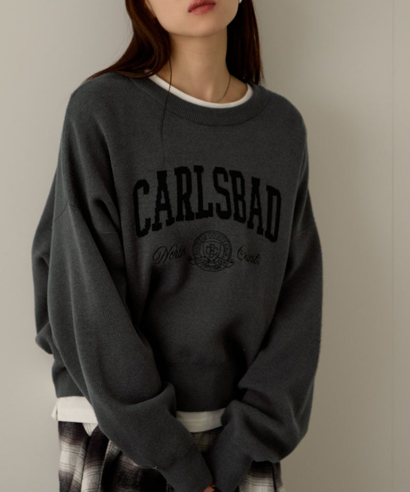 NAVY カレッジロゴWジャガードニット レディース商品画像-5