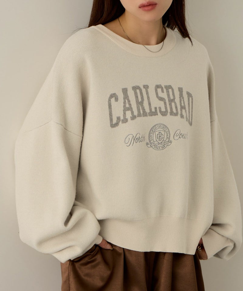 NAVY  カレッジロゴWジャガードニット レディース商品画像-19