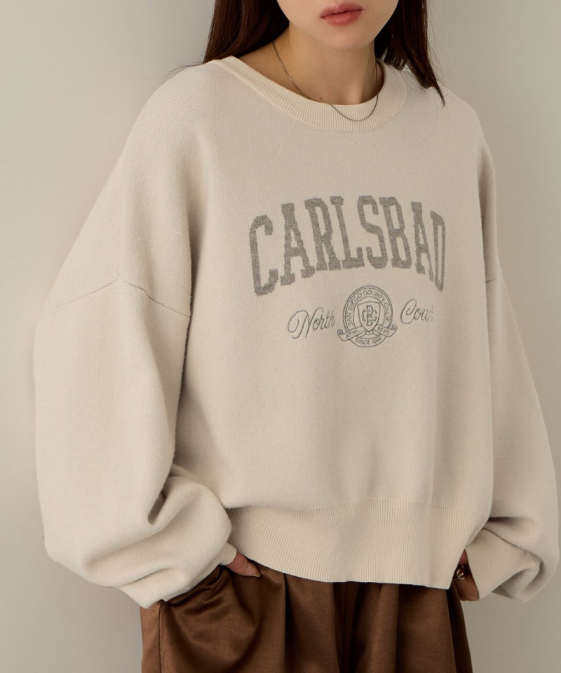 NAVY カレッジロゴWジャガードニット レディース商品画像-20
