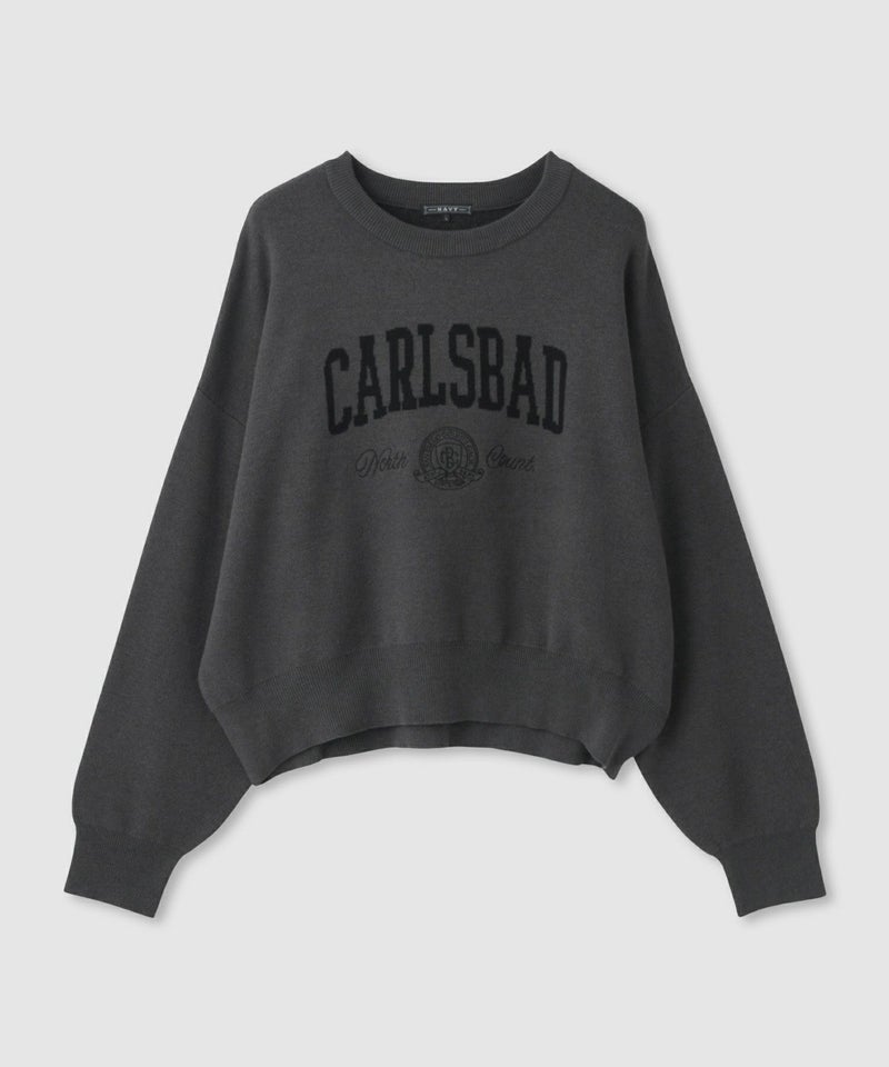 NAVY カレッジロゴWジャガードニット レディース商品画像-22