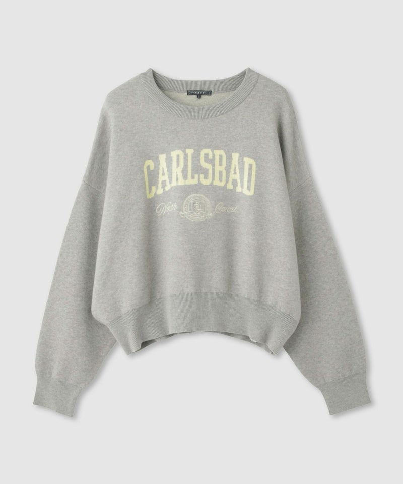 NAVY カレッジロゴWジャガードニット レディース商品画像-23