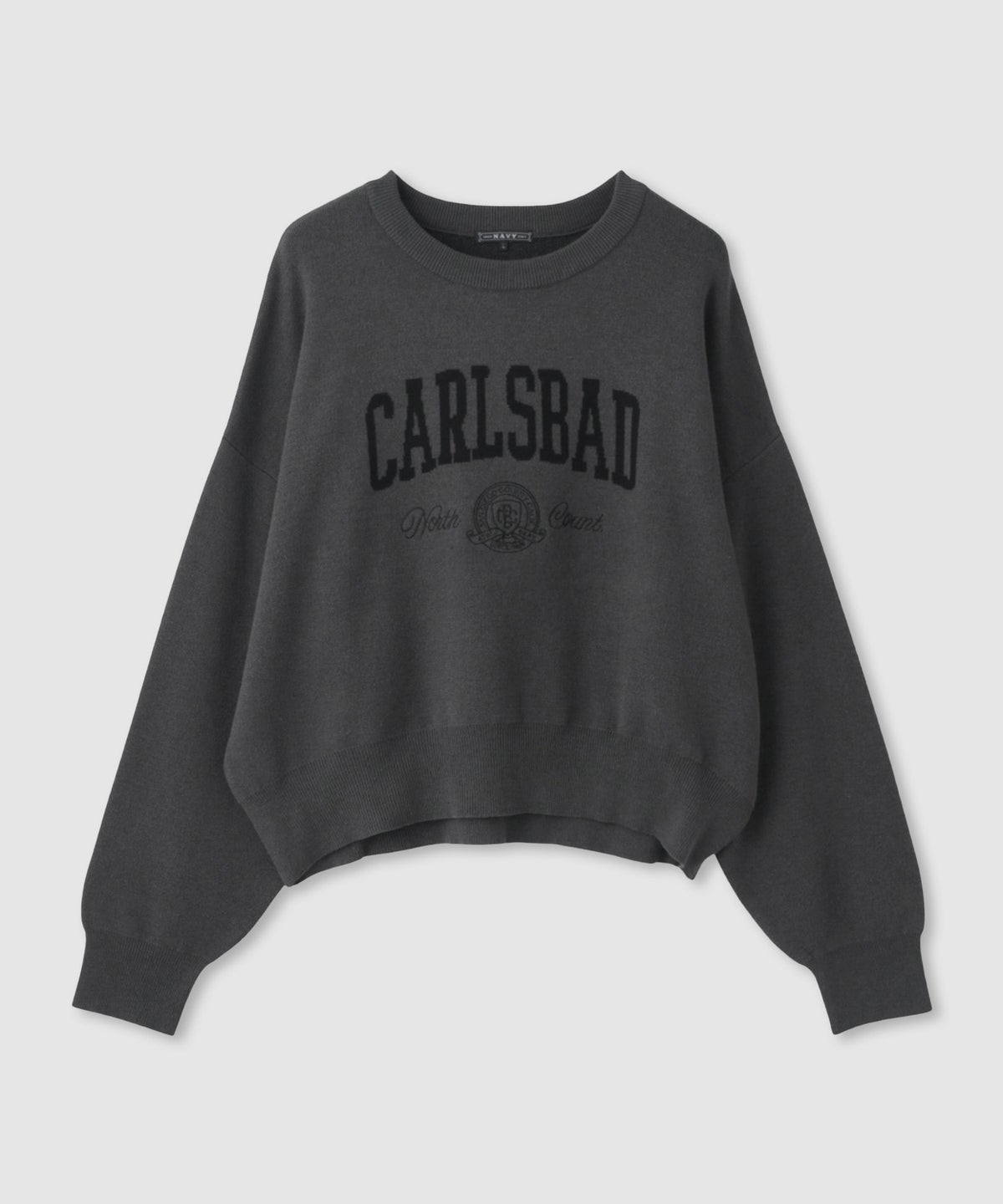 NAVY カレッジロゴWジャガードニット レディース