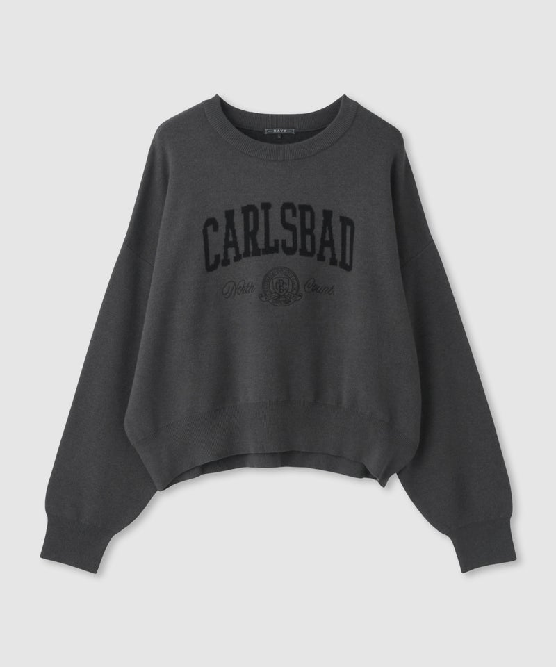 NAVY カレッジロゴWジャガードニット レディース商品画像-23