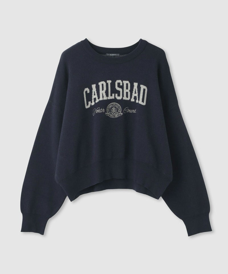 NAVY カレッジロゴWジャガードニット レディース商品画像-24